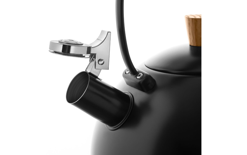 Czajnik NATUR 2,5 l - designerski czajnik na gaz i indukcję