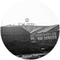 1943.png