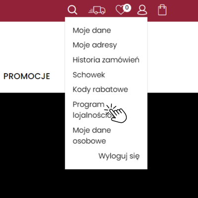 screen