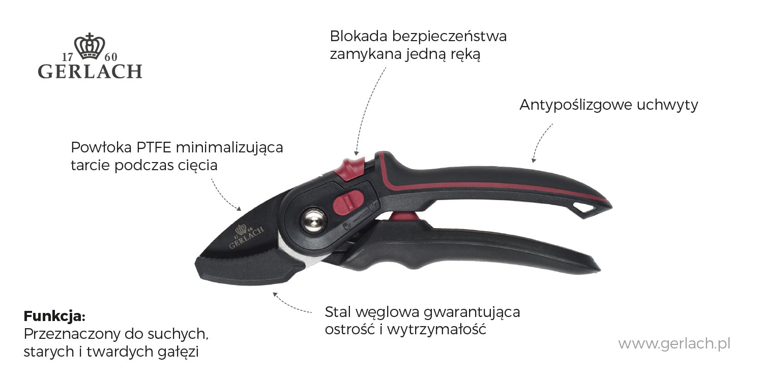ogrod-11.jpg