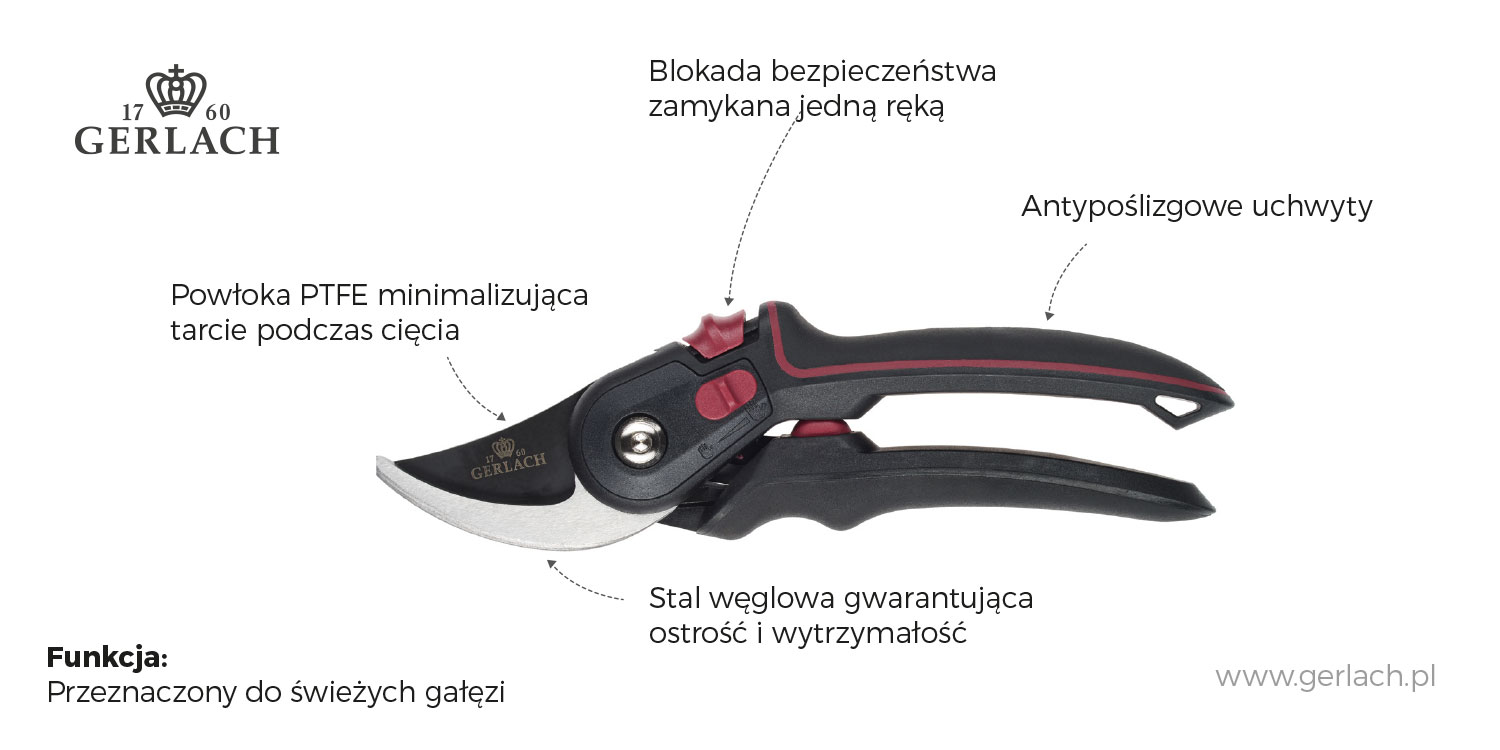 ogrod-8.jpg