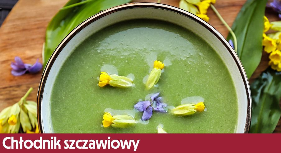 Chłodnik szczawiowy – orzeźwiająca zielona zupa