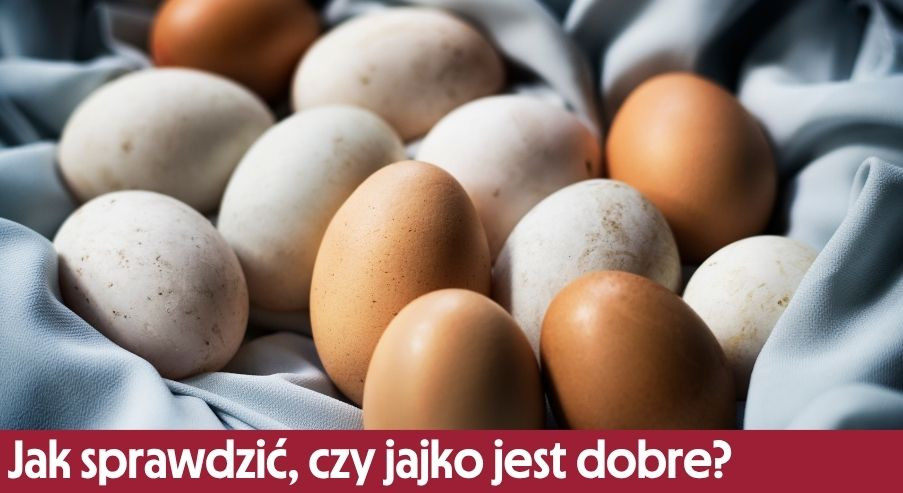 Jak sprawdzić, czy jajko jest dobre? Test na świeżość jajek