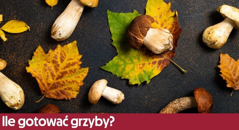Ile gotować grzyby? Czas gotowania i zasady obgotowywania grzybów
