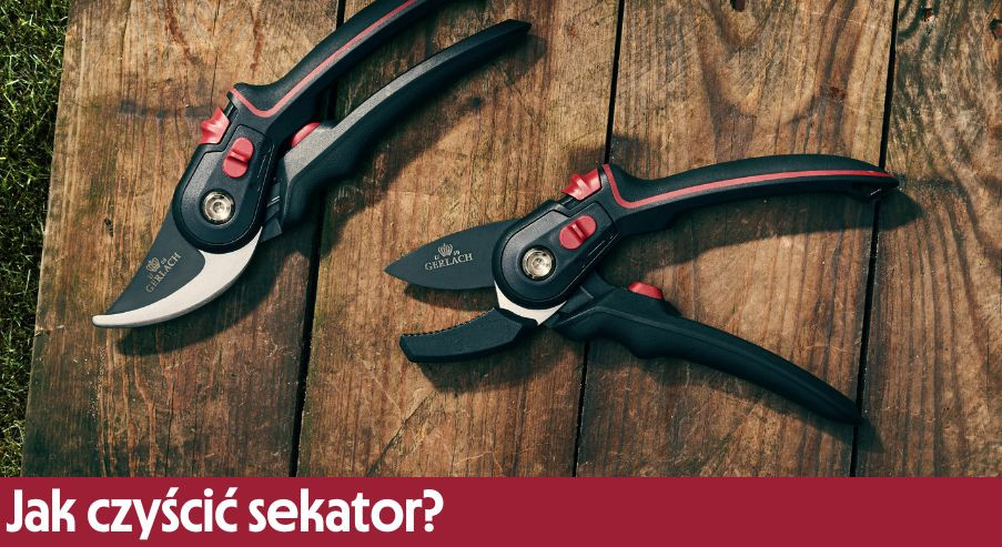 Jak czyścić sekator? Sprawdź, jak zrobić to poprawnie