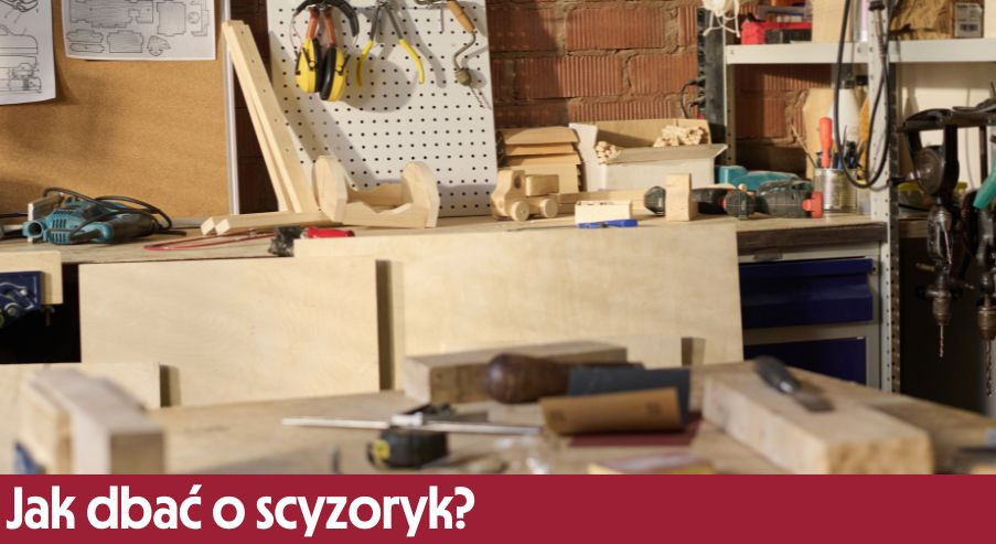 Jak dbać o scyzoryk?