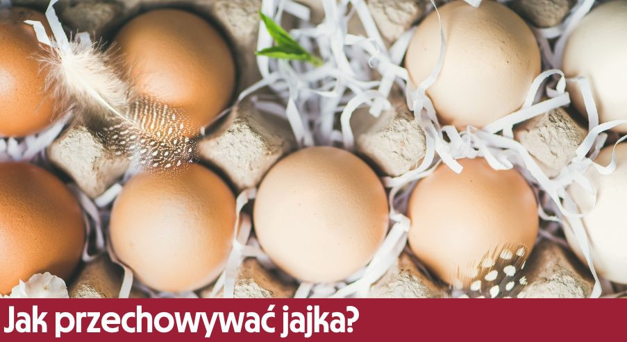 Jak przechowywać jajka?