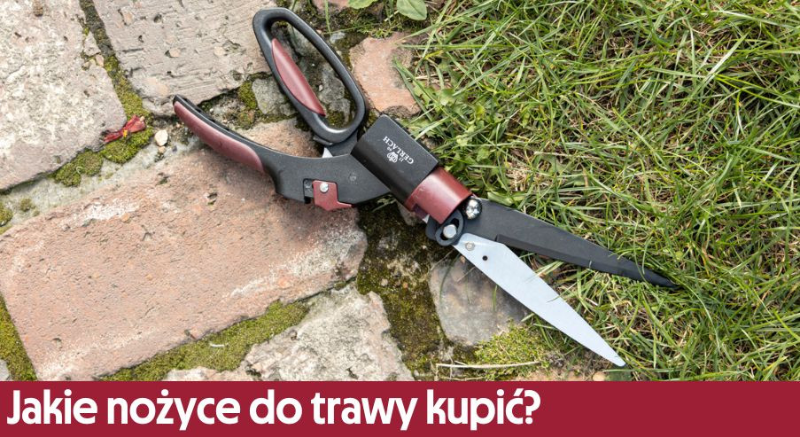 Jakie nożyce do trawy kupić?