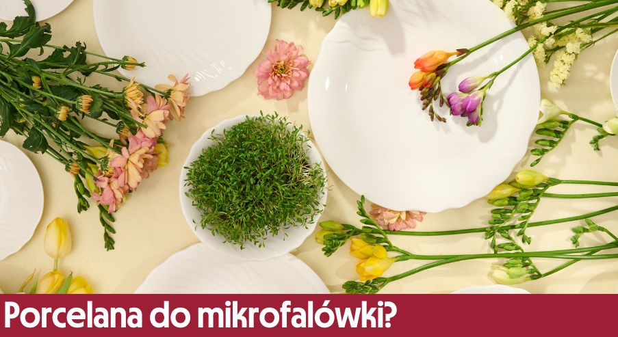 Czy porcelanę można wkładać do mikrofalówki?