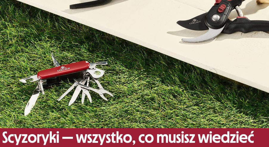 Scyzoryki - wszystko co musisz o nich wiedzieć