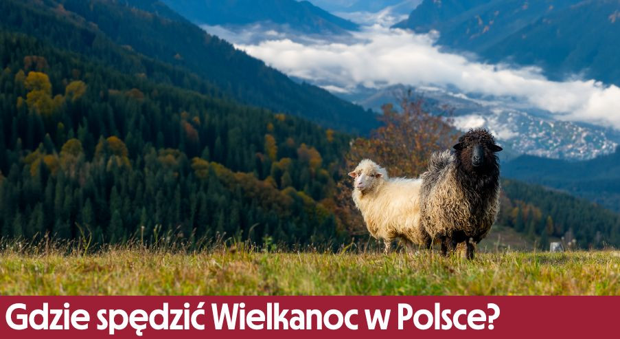 Gdzie spędzić Święta Wielkanocne w Polsce? Radzimy, gdzie wyjechać!