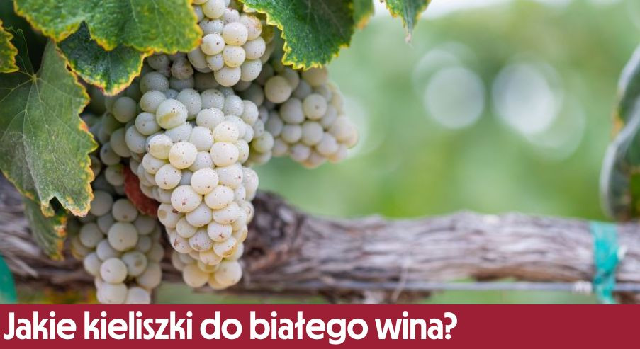 Jakie kieliszki do białego wina?