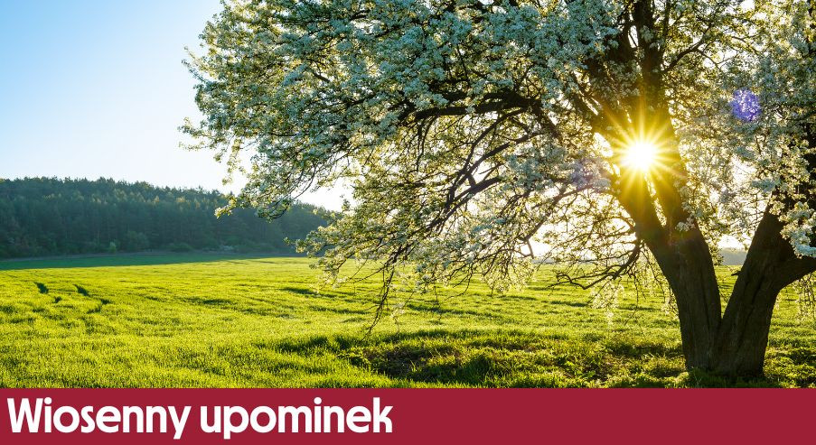 Wiosenny upominek